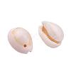 Natural Cowrie Shell Beads BSHE-X0006-01-3