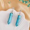 Synthetic Turquoise Bullet Dangle Stud Earrings EJEW-PH01406-02-5