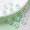 Transparent Acrylic Beads TACR-S152-06A-SS2111-6