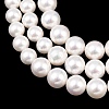 Electroplated Shell Pearl Graduated Beads Strands BSHE-C011-04-4