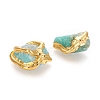 Raw Rough Natural Amazonite Beads X-G-P439-F04-3