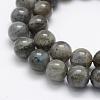 Natural Labradorite Beads Strands G-P322-31-10mm-3