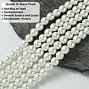 Eco-Friendly  Dyed Glass Pearl Round Beads Strands HY-A002-8mm-RB001-4