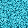 Baking Paint Glass Seed Beads SEED-US0003-2mm-K10-2