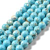 Synthetic Turquoise and Sea Shell Assembled Beads Strands G-D482-01B-07-2