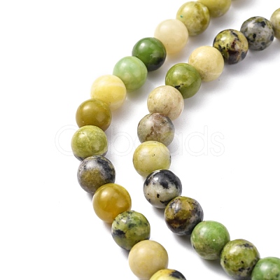 Natural Serpentine Beads Strands G-N166-4-1