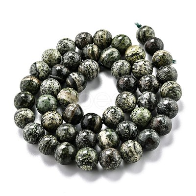 Natural Green Zebra Jasper Beads Strands G-O199-05B-1
