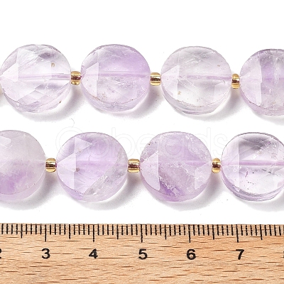 Natural Ametrine Beads Strands G-C116-A163-03-1