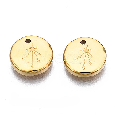 316 Surgical Stainless Steel Charms STAS-S116-418K-G-1