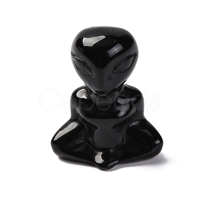 Natural Obsidian Display Decorations DJEW-P019-E01-1