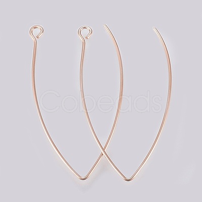 Ion Plating(IP) 304 Stainless Steel Earring Hooks X-STAS-K184-05-01RG-1