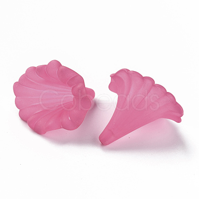 Transparent Acrylic Beads BSF796-C16-1