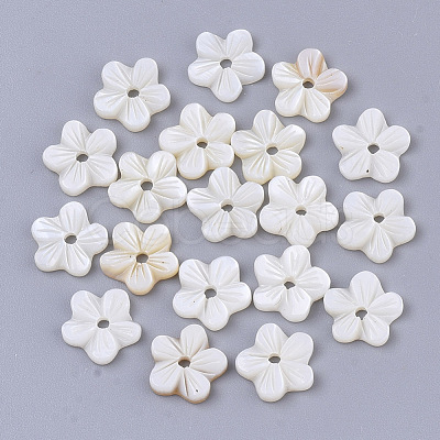 Natural Freshwater Shell Beads SHEL-T017-04-1