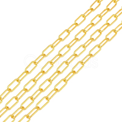 Unwelded Iron Paperclip Chains CH-FS0001-01G-1