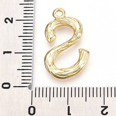 304 Stainless Steel Pendants STAS-N117-01G-S-1