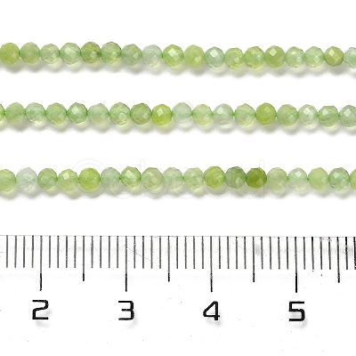 Natural Xiuyan Jade Beads Strands G-Z074-A04-01-1