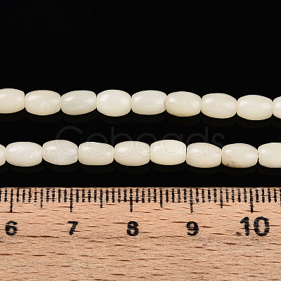 Natural White African Opal Beads Strands G-N346-02A-10-1