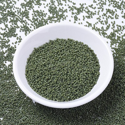 MIYUKI Delica Beads X-SEED-J020-DB1135-1