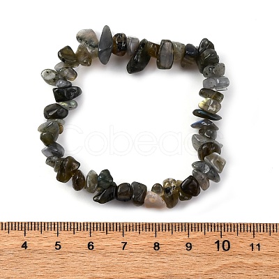 Unisex Chip Natural Labradorite Beaded Stretch Bracelets BJEW-S143-19-1