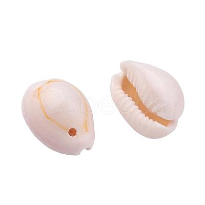 Natural Cowrie Shell Beads BSHE-X0006-01-1