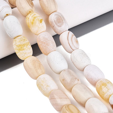 Natural Agate Beads Strands G-Q606-97B-03-1