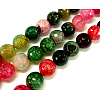 Natural Agate Bead Strands G-G882-10mm-C07-2-5