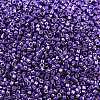MIYUKI Delica Beads X-SEED-J020-DB2510-2
