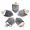 Natural Labradorite Pointed Pendants X-G-N326-34C-1