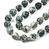 Natural Green Spot Jasper Beads Strands G-N326-100-07-3