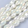 Electroplate Glass Beads Strands EGLA-J013-4X6mm-F03-4