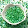 Transparent Baking Paint Glass Seed Beads SEED-P006-02B-16-2