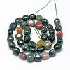 Natural Indian Agate Beads Strands G-R445-8x10-07-2