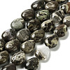 Natural Wealth Stone Jasper Beads Strands G-L242-32-1