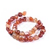 Natural Agate Beads Strands G-I256-01F-2