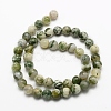 Natural Tree Agate Beads Strands G-G735-02-6mm-2