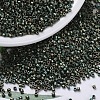 MIYUKI Delica Beads Small SEED-X0054-DBS0324-1