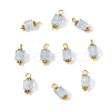 10Pcs Crackle Glass Pendants PALLOY-YW00067-03-1