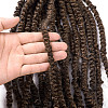 Pre-Twisted Passion Twists Crochet Hair OHAR-G005-17D-4