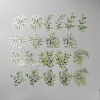 20Pcs Leaf PET Decorative Stickers DIY-WH20055-079E-1