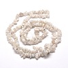 Natural Rainbow Moonstone Chip Bead Strands G-M205-62-2