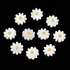 Natural Freshwater Shell Beads SHEL-N003-20B-01-1