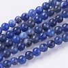 Natural Sodalite Beads Strands X-G-G515-4mm-07-1