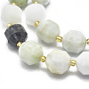 Natural Myanmar Jade/Burmese Jade Beads Strands G-K303-A16-12mm-3