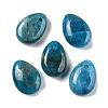 Natural Apatite Teardrop Charms G-M410-01-12-1