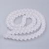 Baking Paint Transparent Glass Bead Strands GLAA-S031-12mm-13-3