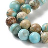 Dyed Natural Regalite/Imperial Jasper/Sea Sediment Jasper Beads Strands G-B124-C01-15-4