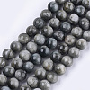 Natural Hawk's Eye Beads Strands G-S333-10mm-034-1