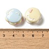 Opaque Resin Imitation Food Decoden Cabochons RESI-H165-01-3