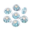 Handmade Lampwork & Brass Core European Beads LAMP-N044-10S-01-1