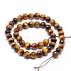 Natural Tiger Eye Beads Strands G-F260-02-14mm-2